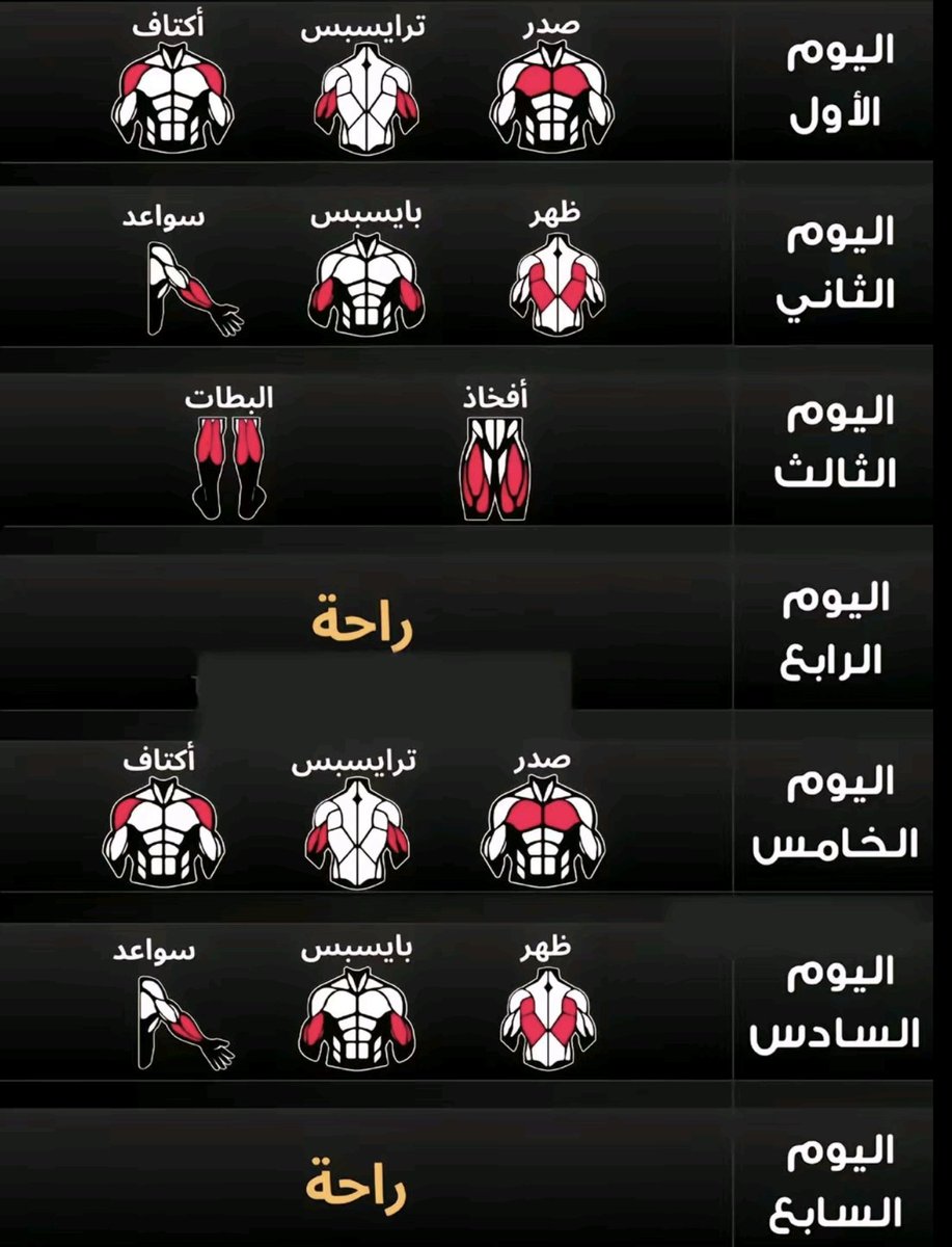Sp_bo1's tweet photo. جدول تمارين ٥ ايام في الاسبوع https://t.co/pOc3AMCn8n