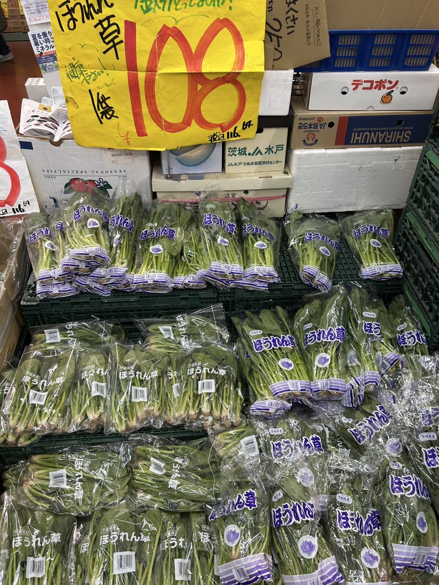 808aoya's tweet photo. あおや浅草本店です。
本日の #浅草 店限定お買い得品
��待ちしております🤗
#八百屋 #南千住
#浅草いちご
#浅草フルーツ https://t.co/ApllOHvDH1