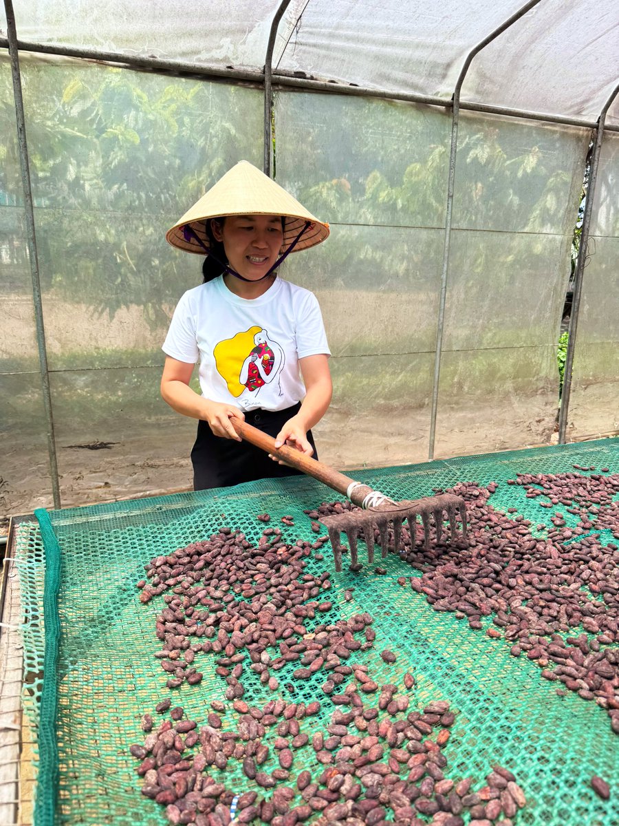BinonCacao's tweet photo. オーナーツリーの契約に、わざわざ日本から見学に来てくださいました。
#binon #farmtochocolate https://t.co/5tgEJgr6Em
