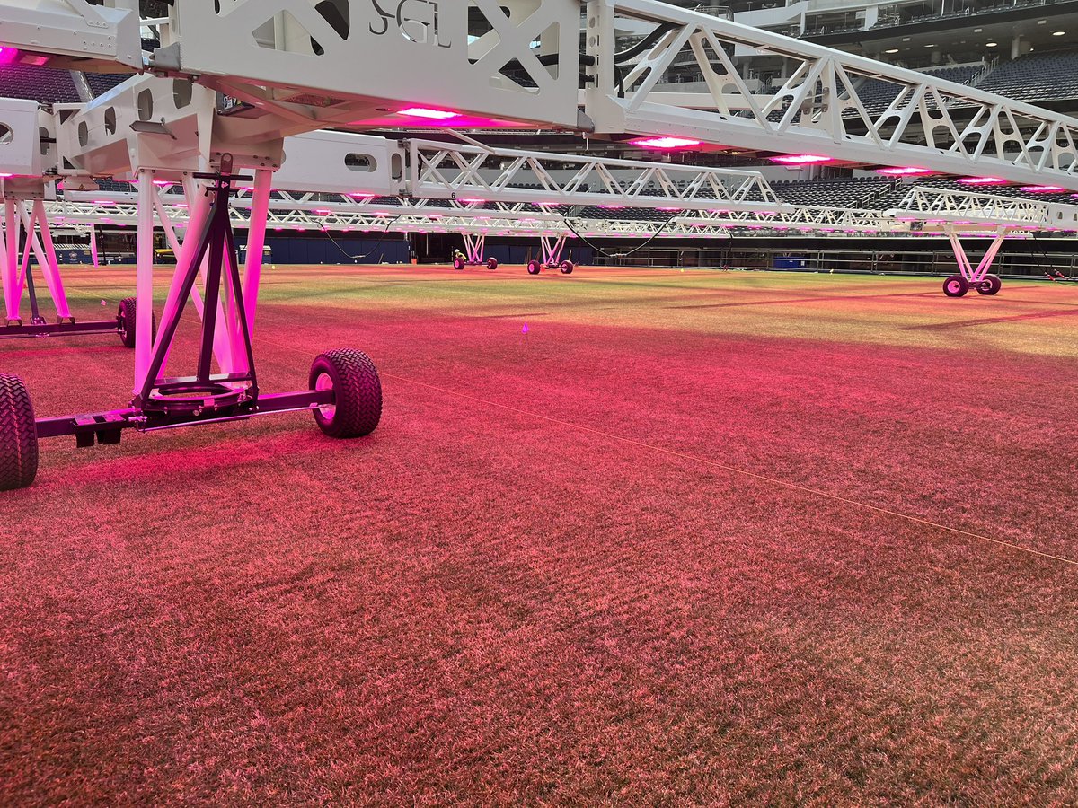 Sergio Pedroza tweet media