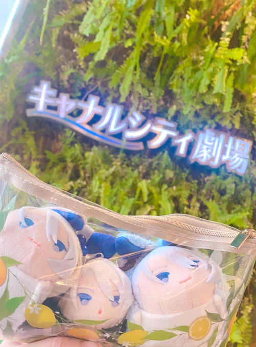 来てるよ〜! 