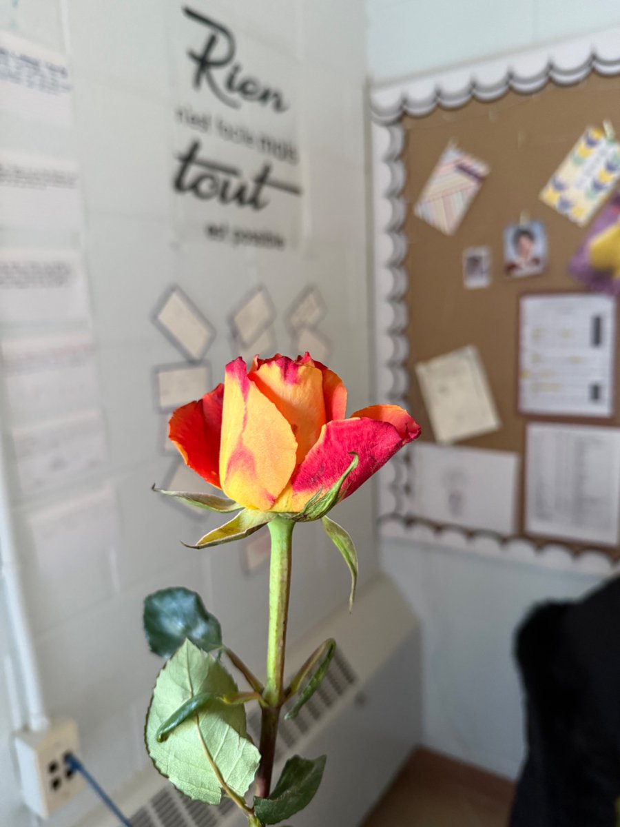 Happy International Women’s Day! 🤍