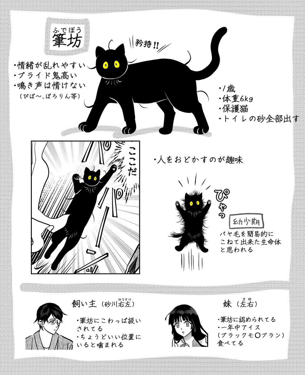 うちの猫は様子がおかしい。まとめ④
(4/10) 