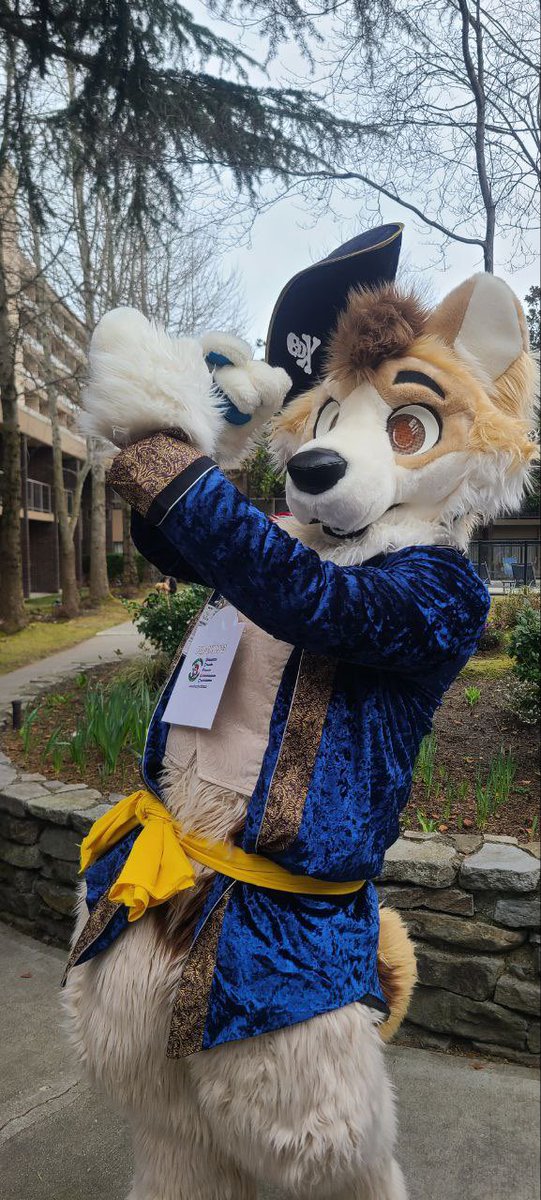 Candle (@candle_husky) on Twitter photo Yarr harr happy #FursuitFriday from <a href="/VancouFUR/">VancouFur 2025 - Tails of Treasure</a> Iβve had a wonderful time seeing everyone youβre all so wonderful. If you see me out there feel free to ask for a hug or a pic. Yarr harr happy #FursuitFriday from <a href="/VancouFUR/">VancouFur 2025 - Tails of Treasure</a> Iβve had a wonderful time seeing everyone youβre all so wonderful. If you see me out there feel free to ask for a hug or a pic.