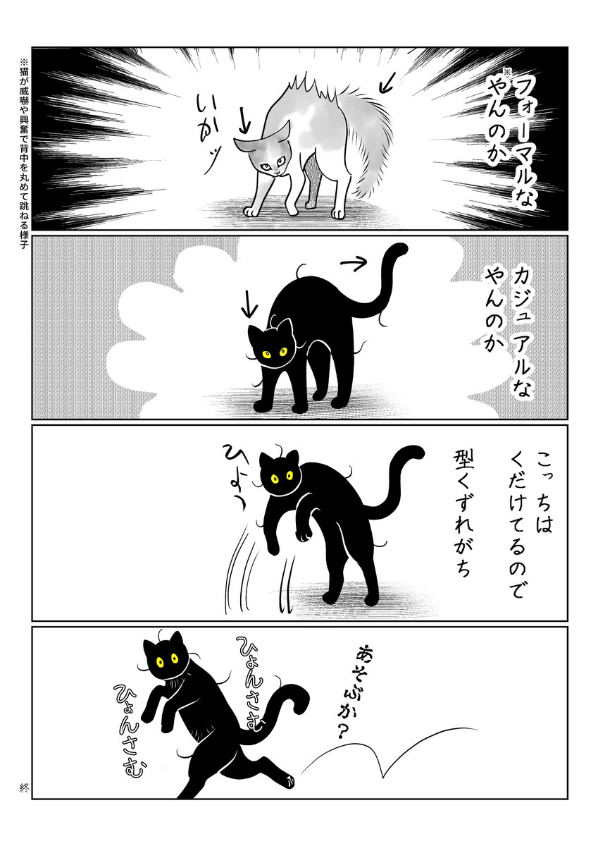 うちの猫は様子がおかしい。まとめ④
(3/10) 