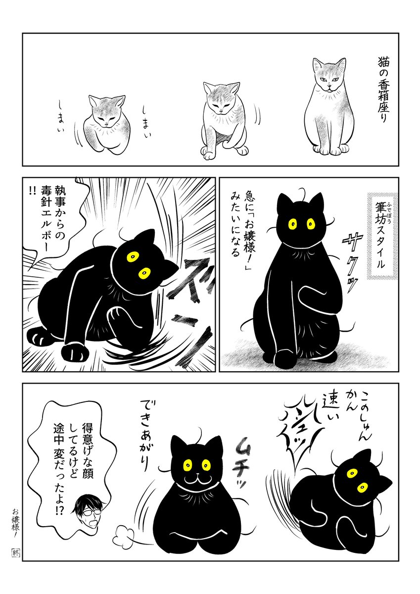 うちの猫は様子がおかしい。まとめ④
(8/10) 
