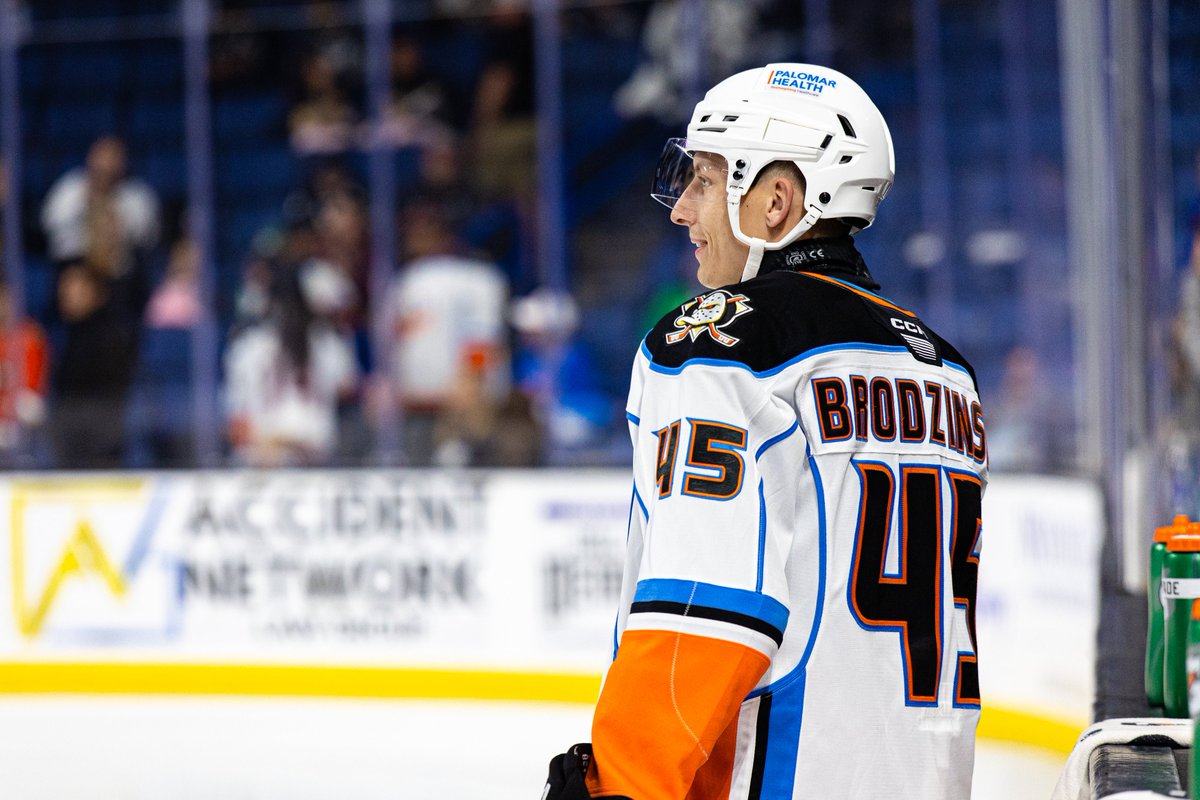 San Diego Gulls tweet media