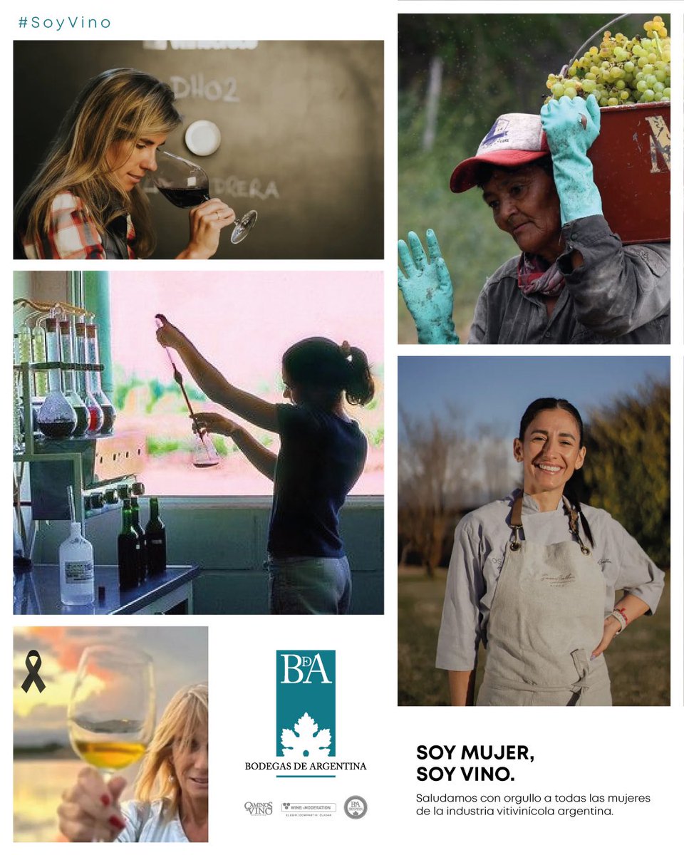 En este Día Internacional de la Mujer, desde Bodegas de Argentina 🍇 saludamos a todas las mujeres que cotidianamente desempeñan su trabajo en las distintas áreas de la vitivinicultura de nuestro país. 🍷👩‍🌾👩‍🔬