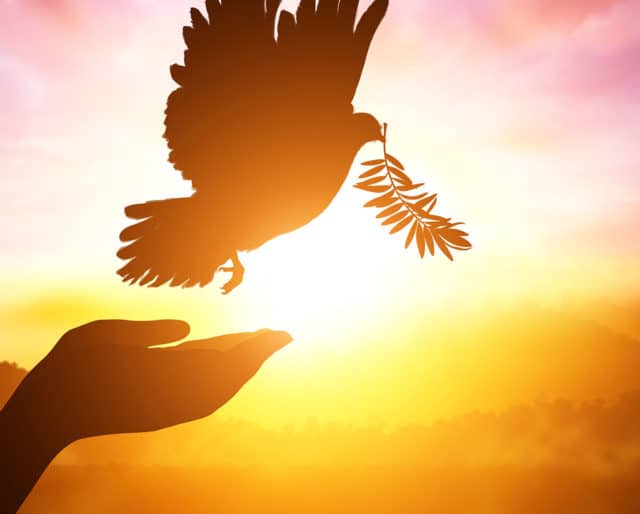 DebasmitaB89770's tweet photo. Every morning brings a new thought for everyone #Peace #Nice https://t.co/C30m3HHvqH