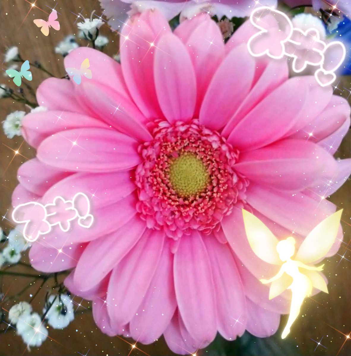 idea_chan_jp's tweet photo. 🌸🌸Hello🌸🌸
心に少し余裕がなくなってきたから
お花買ってきた💐ｶﾜｲｲ癒し🪄
ガーベラ好き♡ピンクも好き♡
❀+.｡♡｡.❀ ꒰ᐡ⸝ɞ̴̶̷ ·̮ ɞ̴̶̷⸝ᐡ꒱ ❀｡♡｡.+:❀
フォロワー様 まだまだ募集中🐥
よろしくお願いしまーす🐣ﾋﾟｯﾋﾟ

#フォロバ100変な垢以外
#RTした人全員フォロー
#相互フォロー
#フォロバ100  #相互フォロー
#ブルバ100 #ブルバ相互
#拡散希望