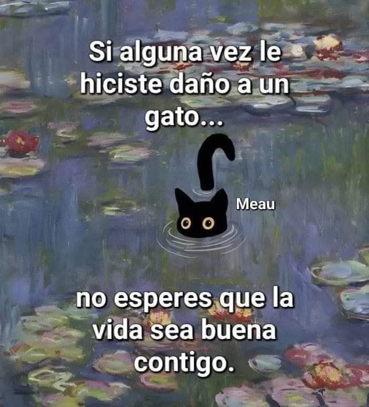 MeowWorkshop's tweet photo. Ni la vida, ni yo. https://t.co/fLSzIBlylQ