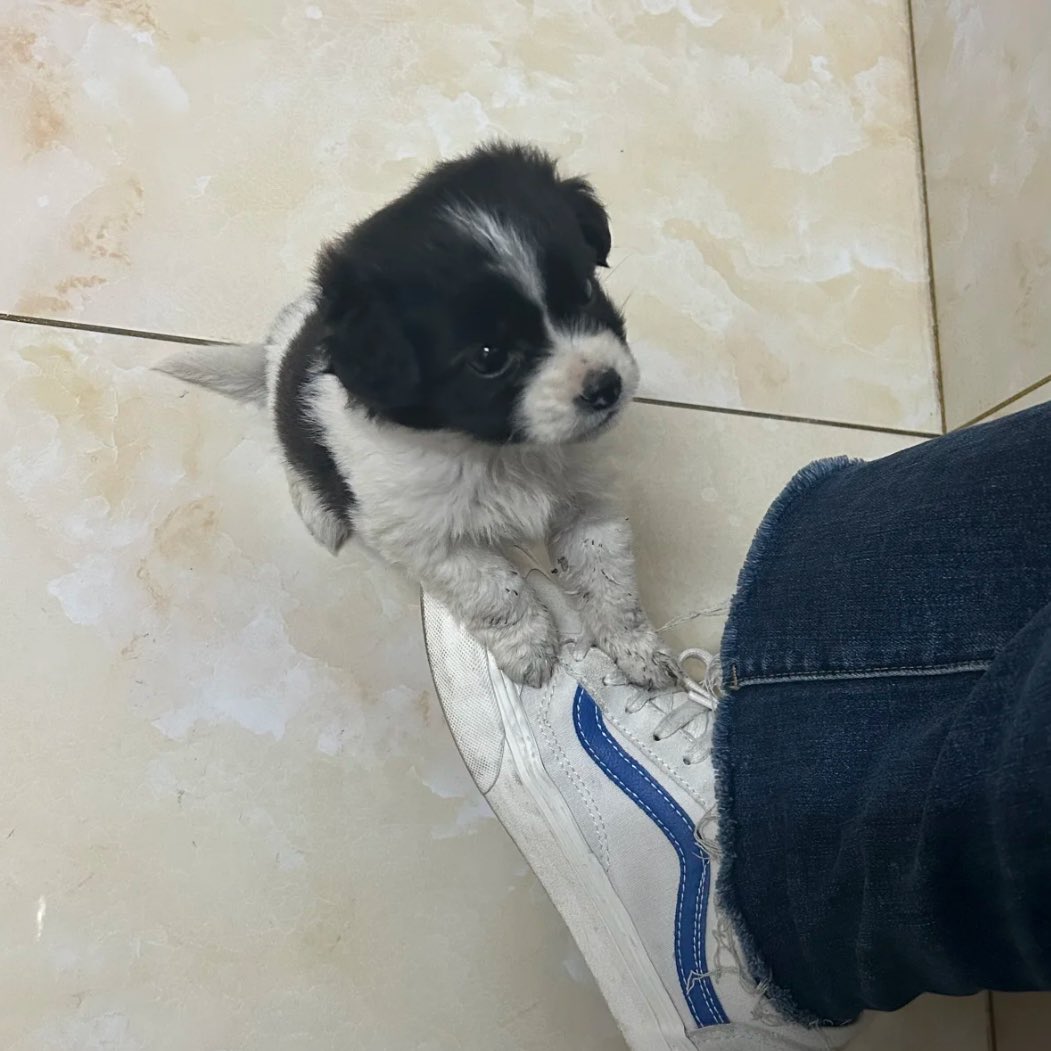 ป๋ม มีแต่ตุวกับหุวใจ คับ