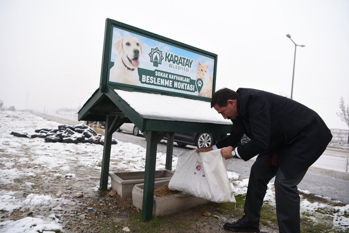 dijital_baba's tweet photo. Yorumsuz. #köpekterörü https://t.co/e5L0IF6FTb
