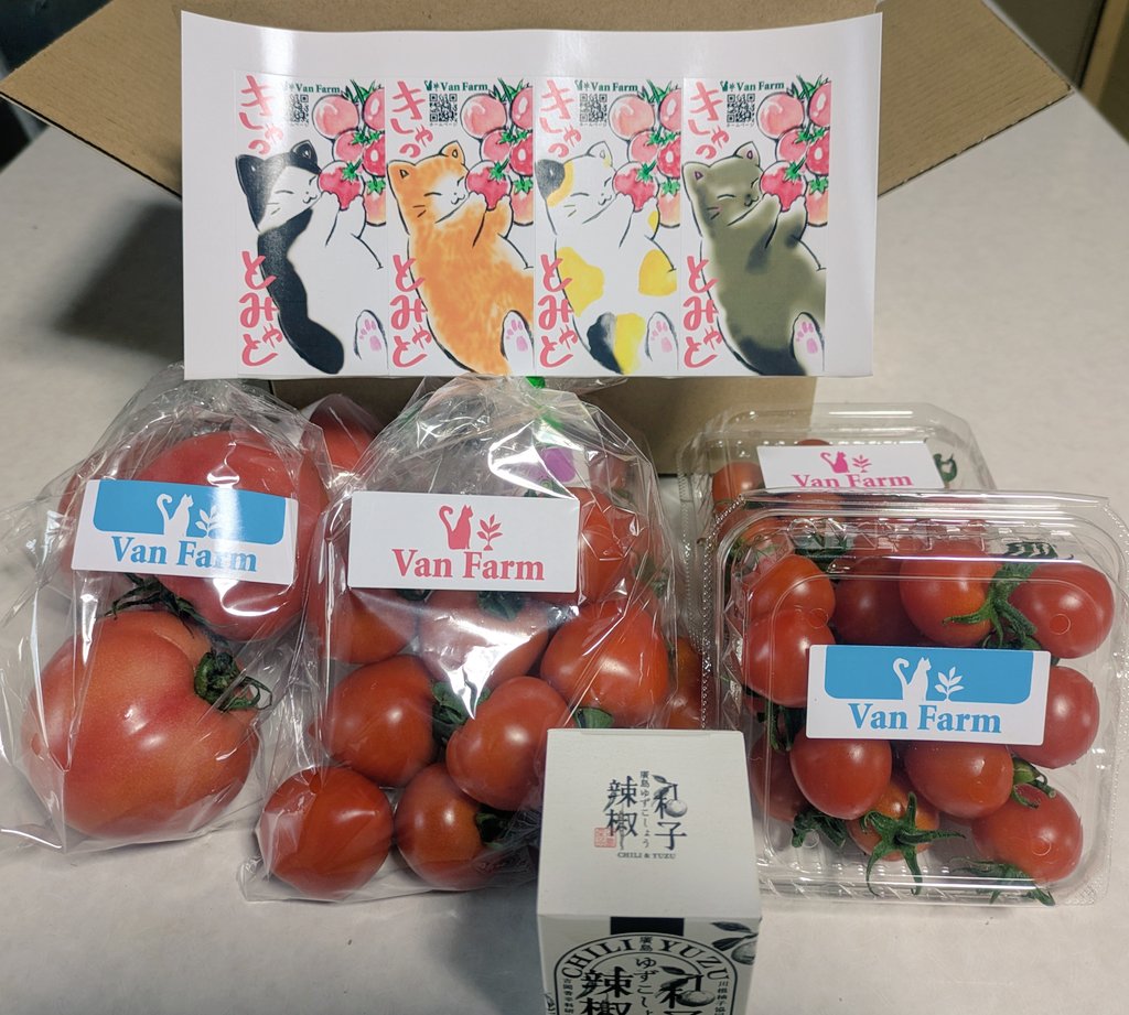 VanFarm0079's tweet photo. 川根ゆず胡椒&amp;きゃっとみゃと3種セット🐱🍅🍊
こんな感じでお届け致します🐱
左から大玉、中玉、ミニトマト🍅
🐱🍅の食べ比べしてみてください。 https://t.co/7t5xl2uvCL