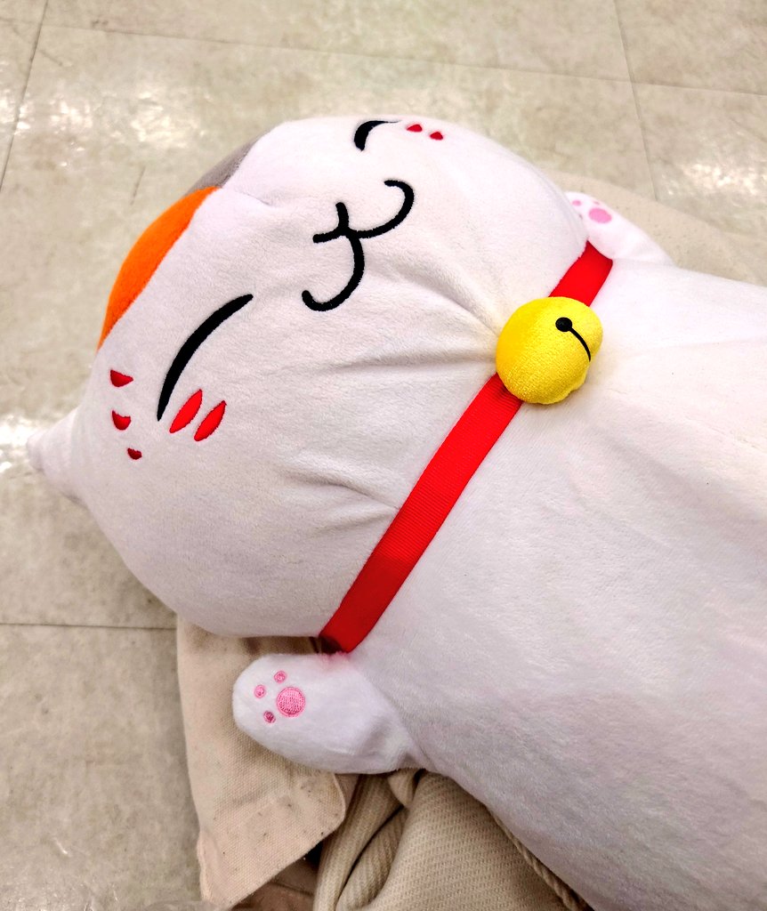 おそくほーです
ひさびさにいます