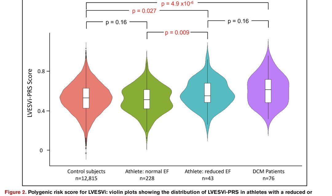YouriBekhuis's tweet image. Clear talk on polygenic risk scores (PRS) in cardiovascular disease by @fatkinlab at Lorne Summit, highlighting some interesting findings from the @ProATHeart study. More to come—stay tuned!