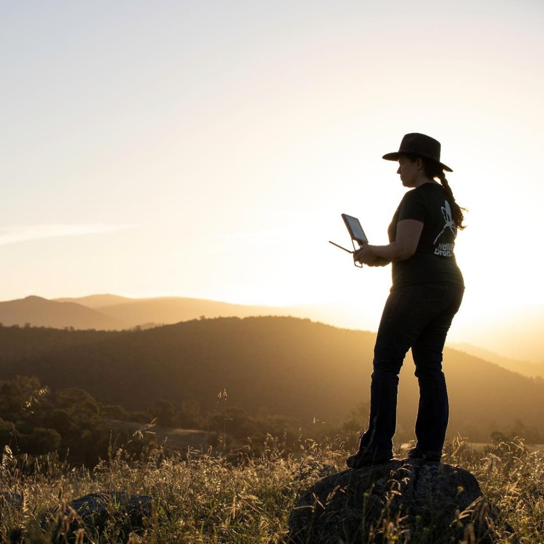 #AccelerateAction for Gender Equality this International Women's Day! It could take until 2158 to reach gender parity? That's WAY too long! Let's step up and accelerate action towards a more equitable world. #IWD2025 #WildlifeMonitoring #radiotracking #radiotelemetry