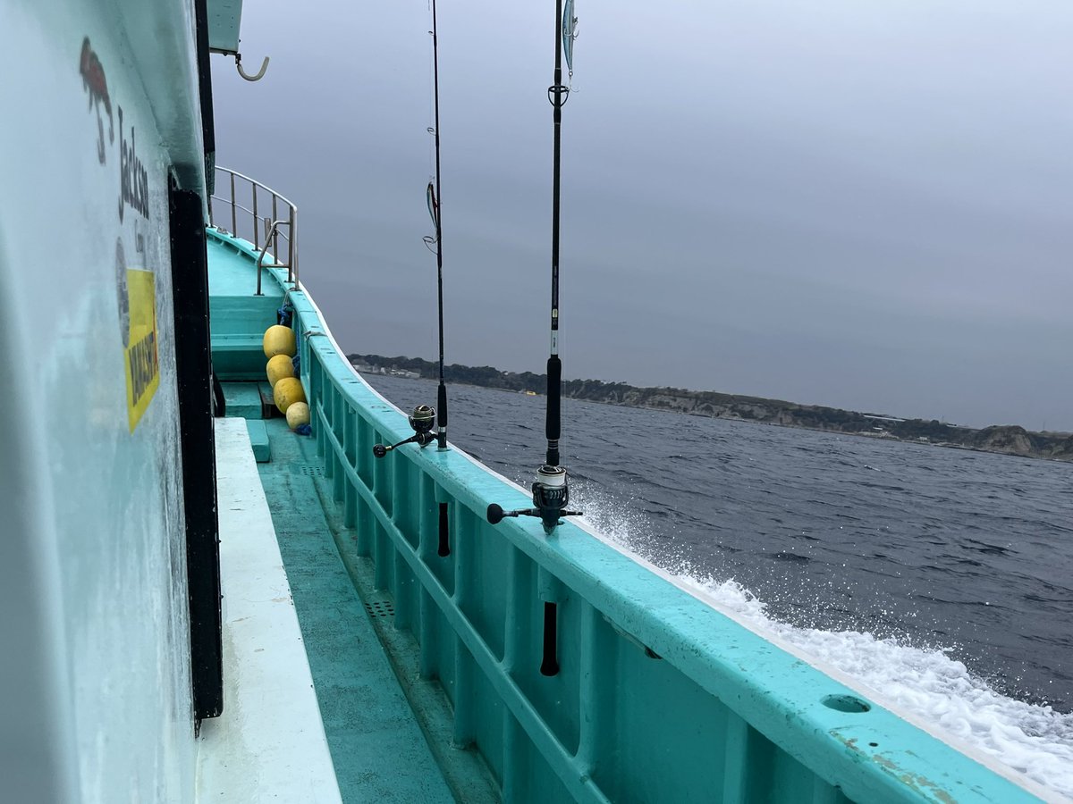 もはや実在するのか疑わしくなってきた
#相模湾 #幻の魚