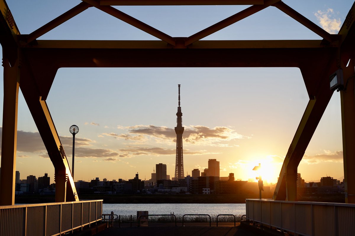 ⭐︎スカイツリー・荒川河川敷/東京⭐︎  Dec, 2024

荒川ごしに浮かぶトンガリタワー
夕暮れのオレンジに染まる時間からの
ブルーアワーはプレミアムな時間

空気の澄んだ冬の空は素敵
防寒対策は必須です

最寄駅は京成四ツ木駅

#スカイツリー #skytree #絶景 #一度はいきたい #サンセット #夕焼け