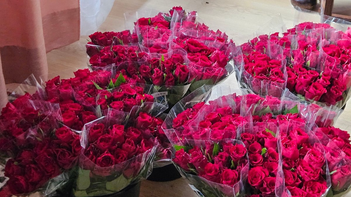 Hyvää kansainvälistä Naistenpäivää kaikille naisille ja tytöille!Naisten oikeuksissa tapahtuu pahaa takapakkia ympäri maailman.Miehet tarvitaan työhön naisten oikeuksien puolesta. Ruusut ei riitä. Laitetaan lähisuhdeväkivallalle loppu ja  palkkatasa-arvo kuntoon-se kaikkien etu.