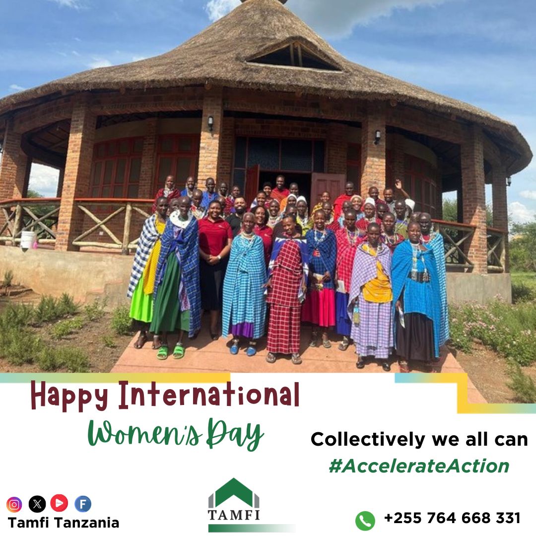 Tamfi Tanzania tweet media