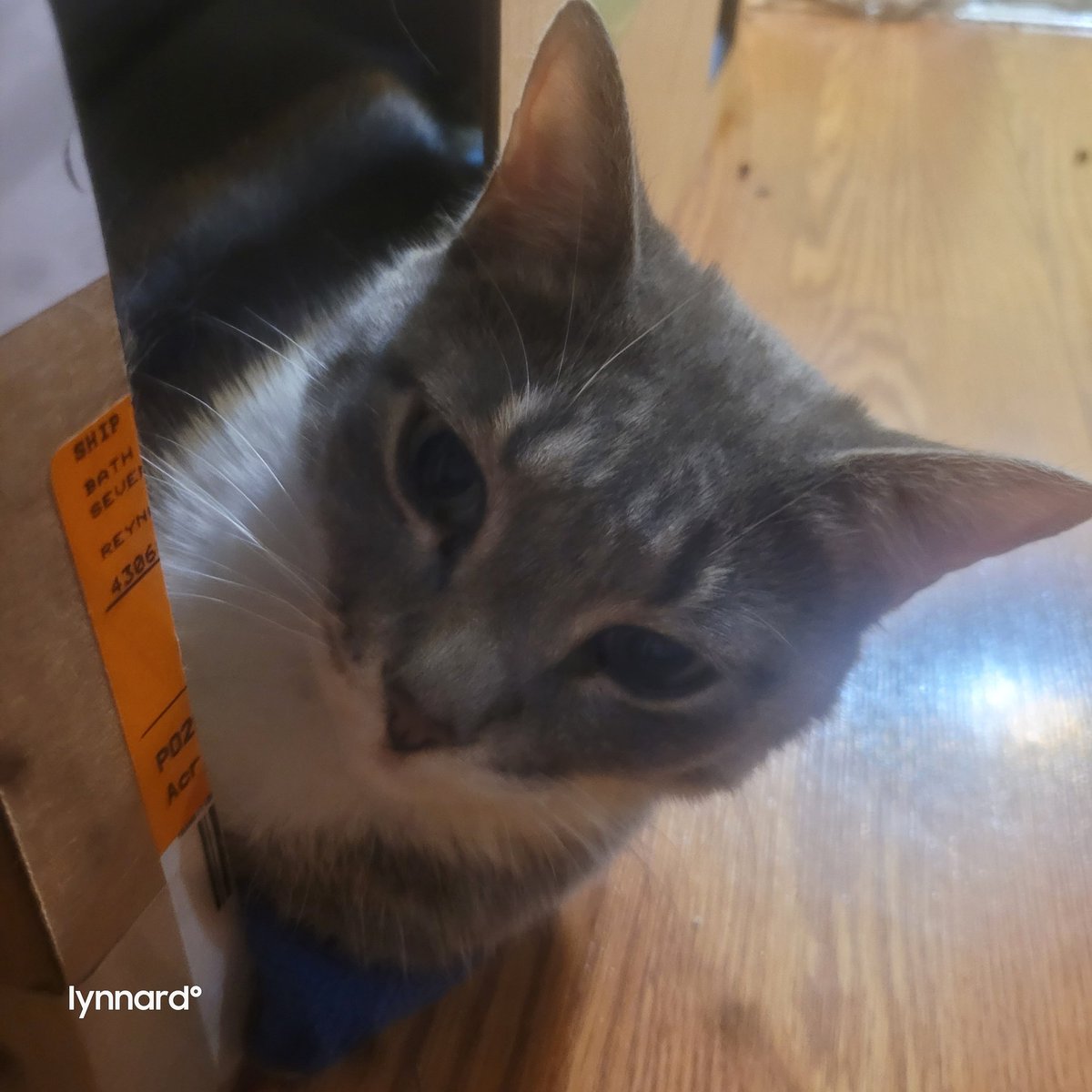 lynnslagle42's tweet photo. Such a weirdo....she's sleeping like that, then I knocked on the side. I think she's annoyed 🤣🤣 #edgarsfamily #rosajuneparks #littleweirdo #sleepingmom #annoyedrosa #whatdoyouwantmom #really #goaway https://t.co/HloQSyEBtJ