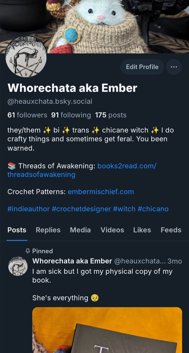 embermischief's tweet image. haven't been here in months because I only open bsky now... started streaming on swoonishveil again, am writing another book, so if you want live alerts, feral musings and in on my life I am over there