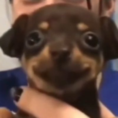 morjfair's tweet photo. #NewProfilePic https://t.co/HGsFSRaC0C