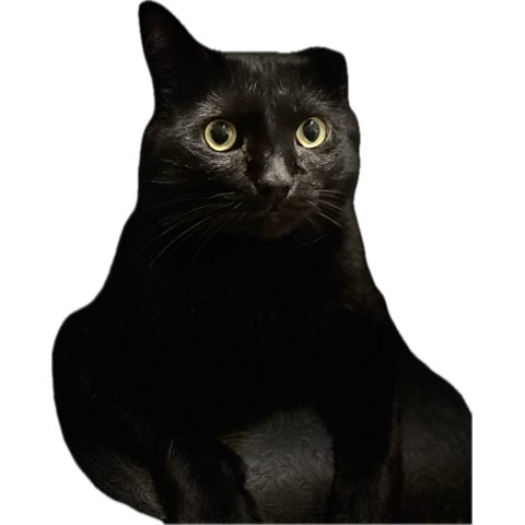 _Astr0logic's tweet photo. Luv. 🖤 https://t.co/qZnWmfC4VB