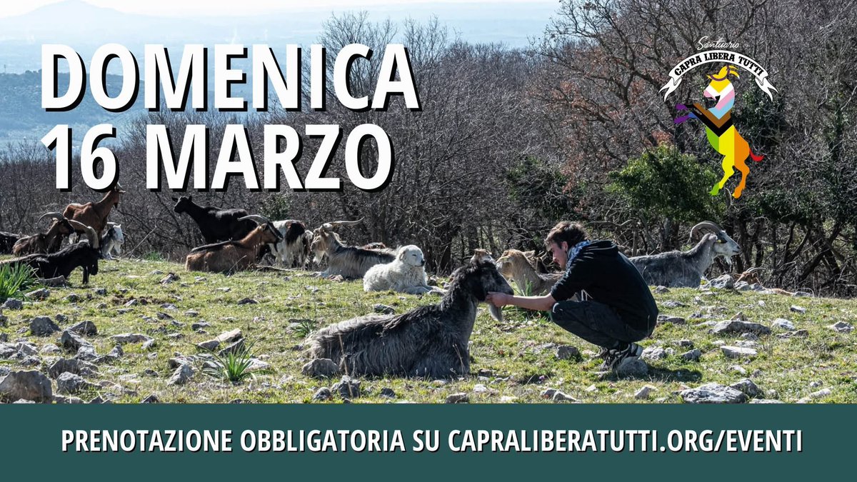 Capra Libera Tutti tweet media
