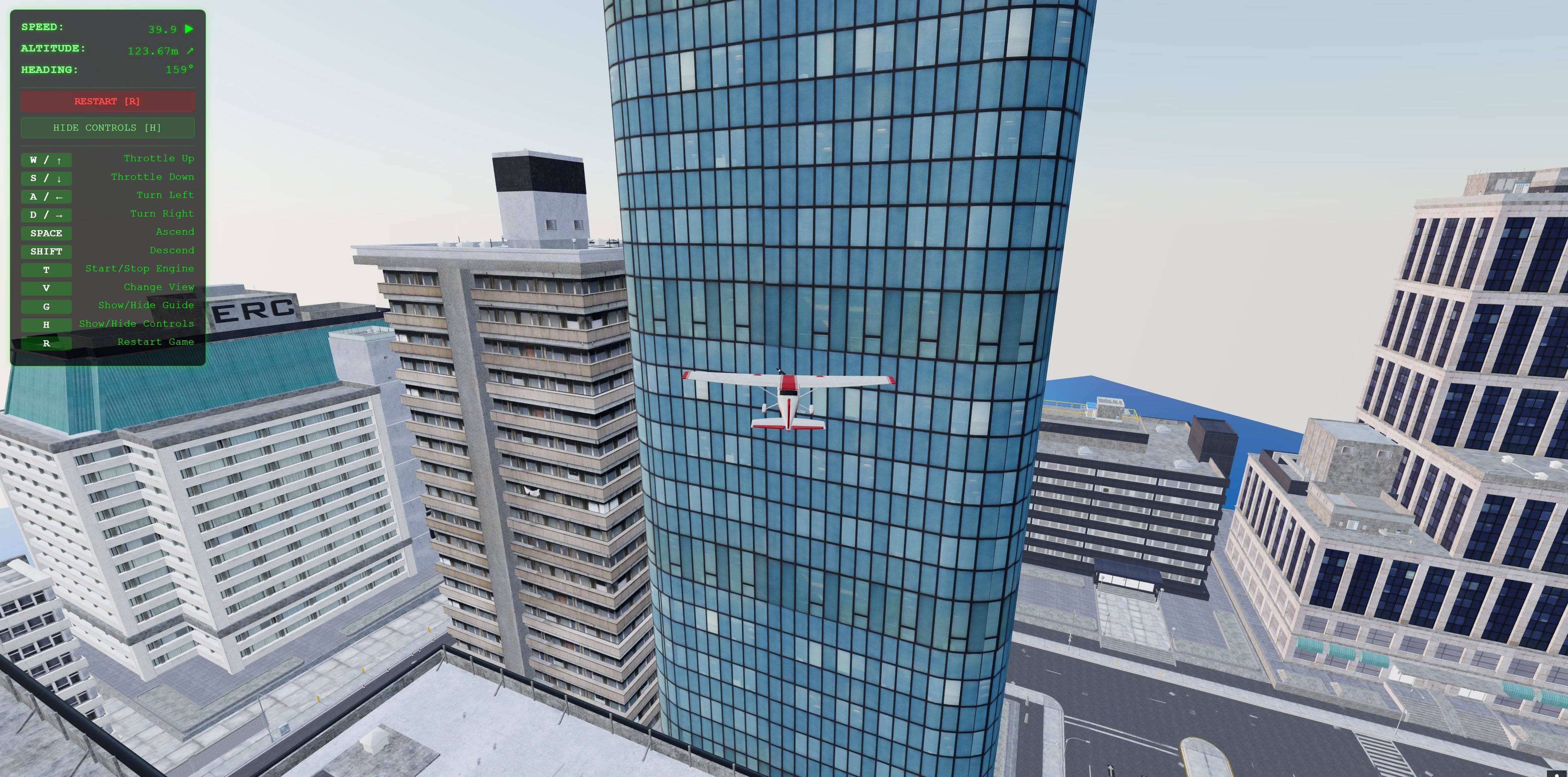 Flightsim