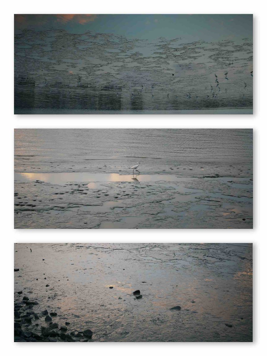 Assad (@assad_lin) on Twitter photo 