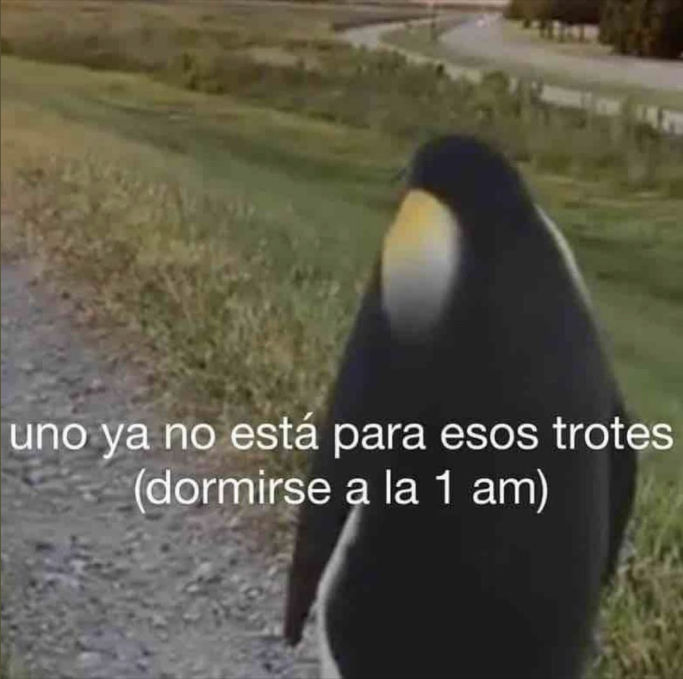 Guarromantico_'s tweet photo. Ya no está. https://t.co/Y72qpVh2M4