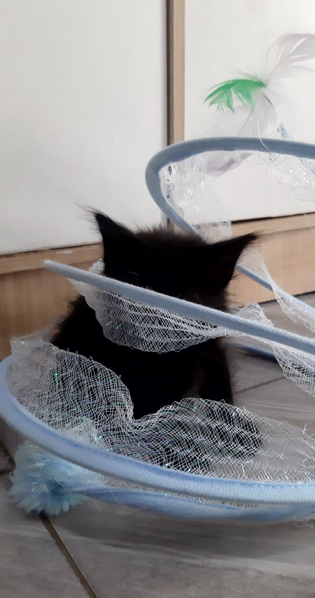 gforgea's tweet image. CILUK .... BAAAA 💕