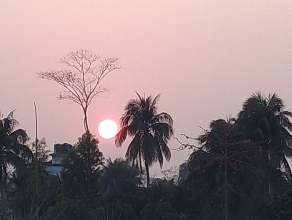 Mainul_NRC's tweet image. Happy Women&apos;s day 202!: Wishing Rights, Equality, and Empowerment for all women and girls.