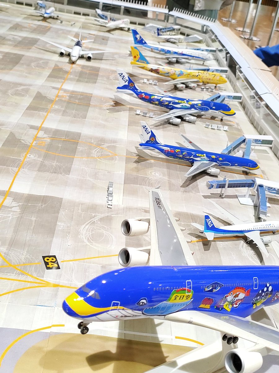 #NGOプラモ展示会25 
おかげさまで大盛況です☺️
午後も沢山のご来場をお待ちしております！
#旅客機プラモ