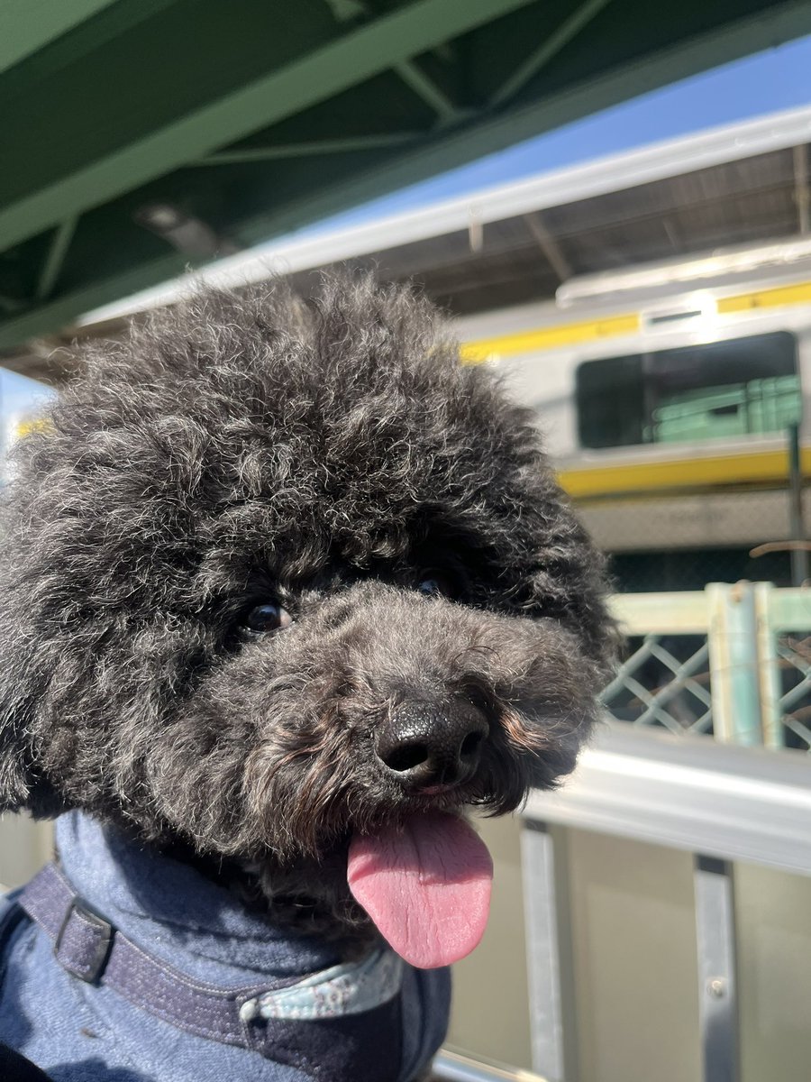 HMogeta's tweet photo. 乗ってく？ https://t.co/TmexEIlB0U