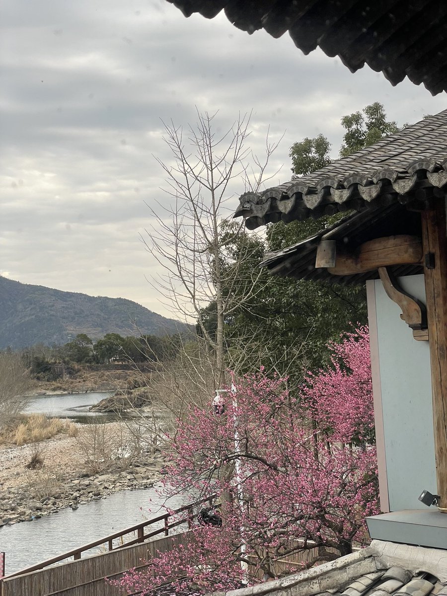 美丽的楠溪江狮子岩咖啡店外院