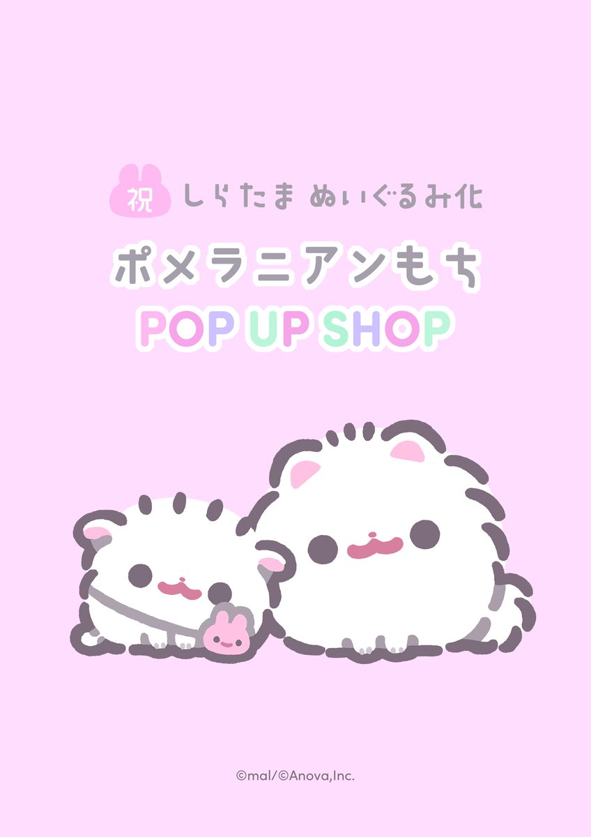 ポメラニアンもち | ‎【お知らせ】 11/2（土）15：00より