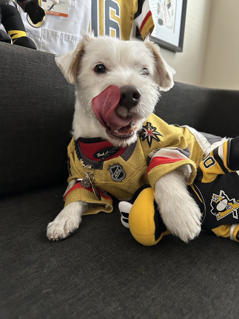 DekeHenriFurry's tweet photo. WINNER!
@penguins 0
@GoldenKnights 4
~ Deke🐾
#GoKnightsGo
#VegasBorn
#PITvsVGK
#VictorySausage https://t.co/9r1ie1t0Wa