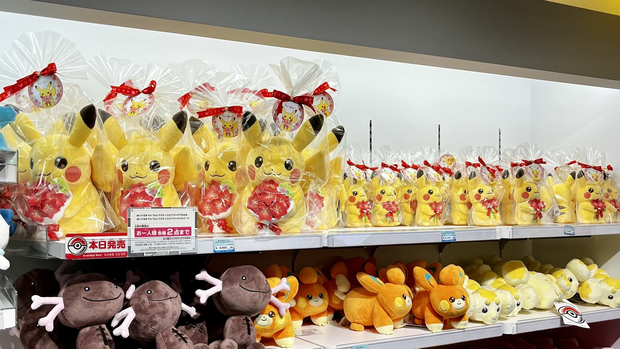 ポケモンセンターNAKAYAMA on X: ポケモンセンターNAKAYAMA on X: