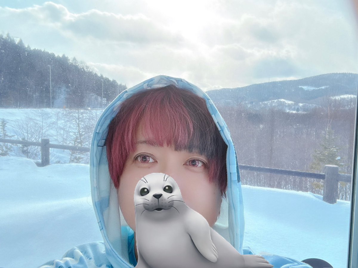 すーこ🍄 🍄 tweet media