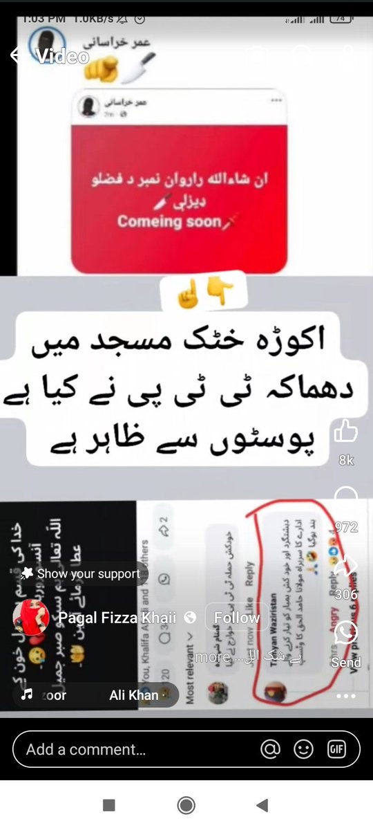 موجودہ حالات میں بہتر یہی ہوگا کہ ان نمک حرام افغانیوں کو فوراً ملک سے نکالا جائے