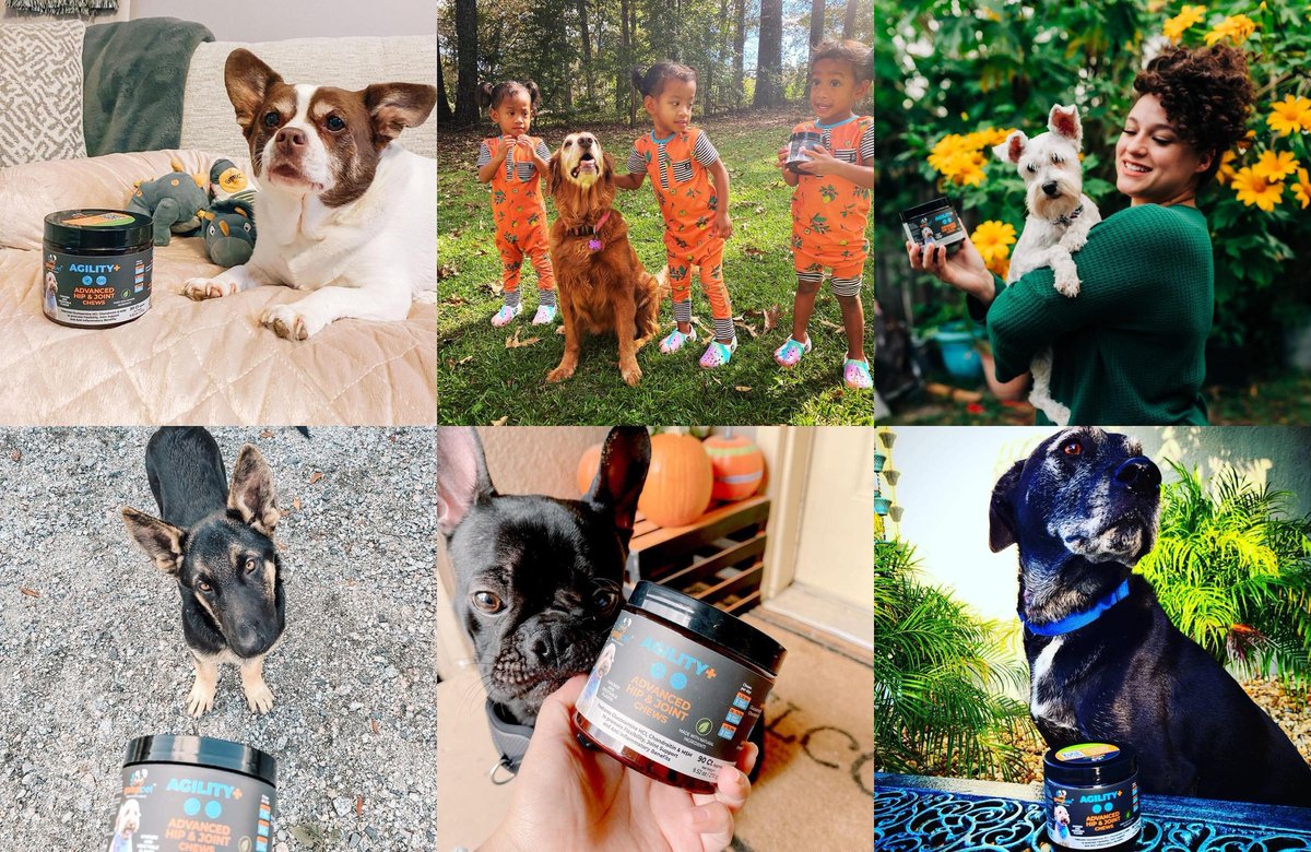 googipets's tweet image. At Googipet, we believe what you feed your dog should be as natural and beneficial as what you’d choose for yourself. Your dog’s health is our top priority, and we’re thrilled you’ve joined our family.