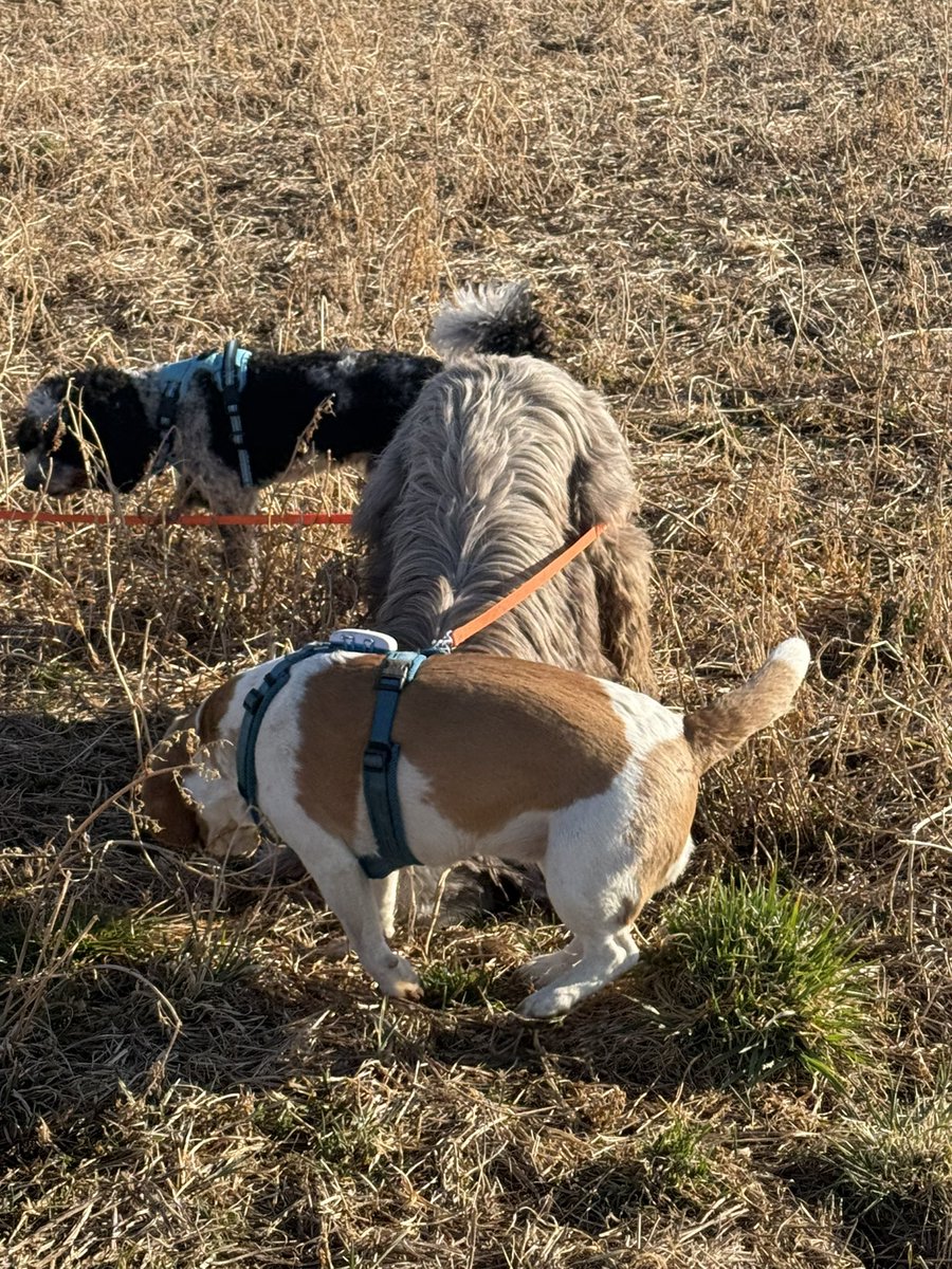 Tiefbau! Mit Mitarbeiter und Absperrband 🚧
