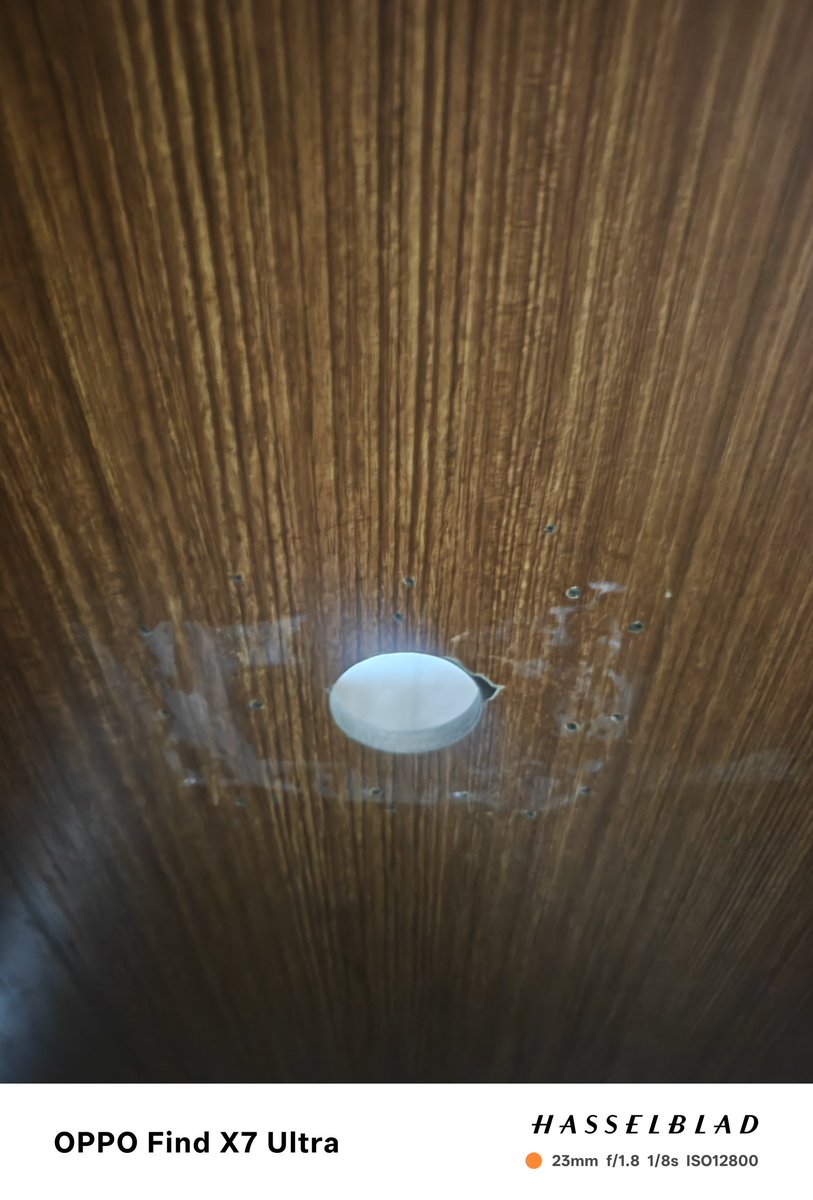 我爱广西 #南宁鸟洞