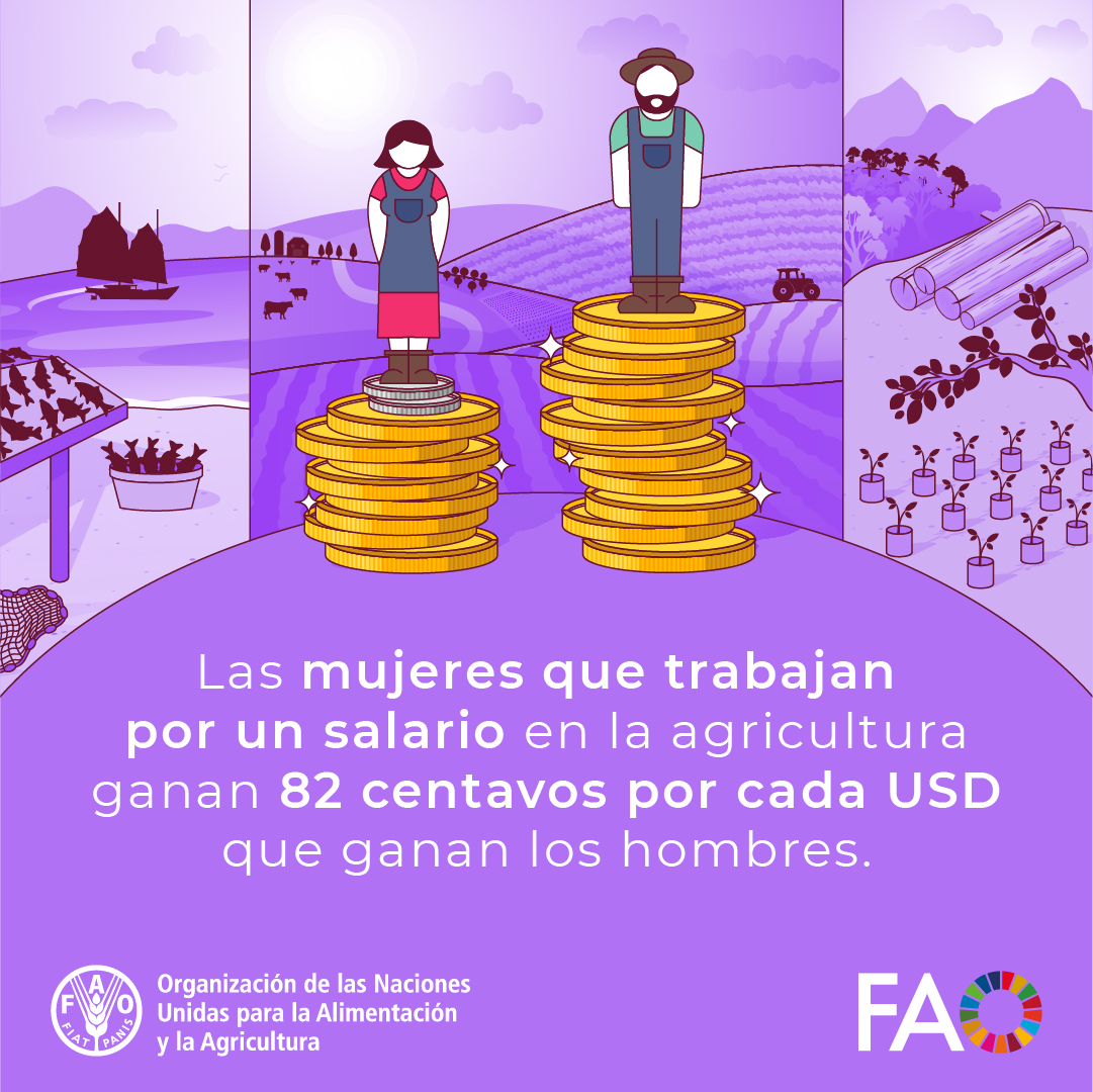 👩‍🌾 Las mujeres son el 38% de los trabajadores en los sistemas agroalimentarios en el mundo, pero en promedio ganan 20% menos que los hombres.

¡Esto tiene que cambiar!

La igualdad en los sistemas agroalimentarios es clave para lograr un mundo sin hambre.

#DíaDeLasMujeres