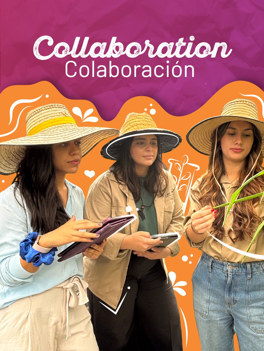 BiovIntCIAT_eng's tweet image. 🌻 On this International Women&apos;s Day, we recognize and highlight some of the most representative values of the women in our Alliance—values that reflect the purpose of our organization and our science. 👩‍⚕️
#IWD2025 #ForAllWomenAndGirls #GenderEquality