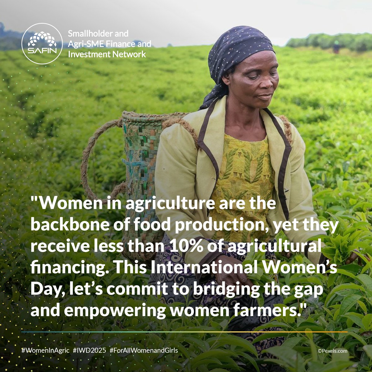 SAFIN (@safin_network) on Twitter photo 🌾 Cheers to the women driving change in agrifinance! From unlocking capital for farmers to building resilient food systems, your impact is unstoppable. 💡💰
#IWD2025  #WomeninAgriFinance #WomenandGirls 🌾 Cheers to the women driving change in agrifinance! From unlocking capital for farmers to building resilient food systems, your impact is unstoppable. 💡💰
#IWD2025  #WomeninAgriFinance #WomenandGirls