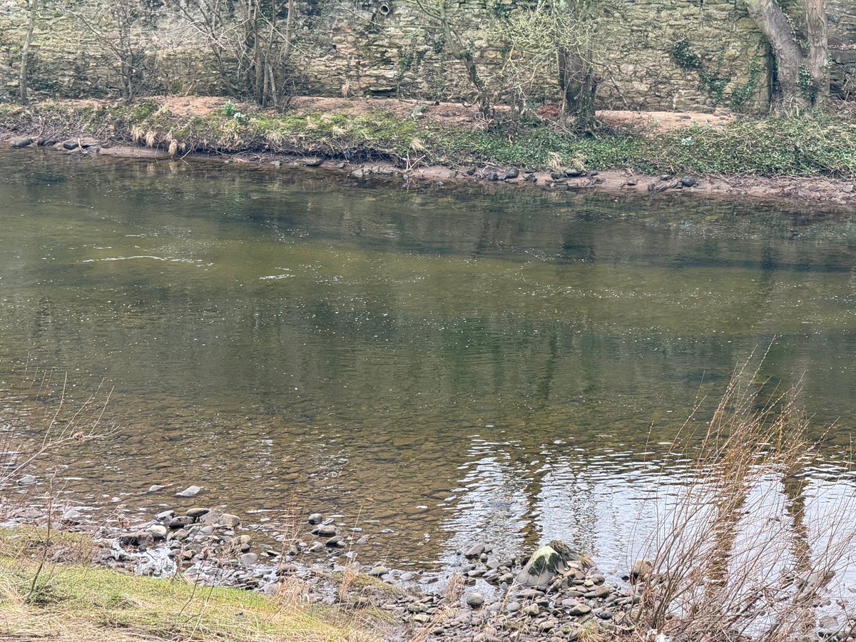 Swale Outdoors tweet media